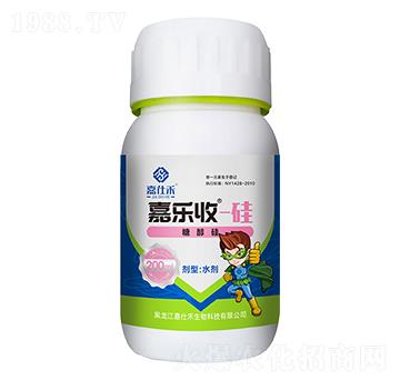 �Ǵ���-�Θ���-���˺�