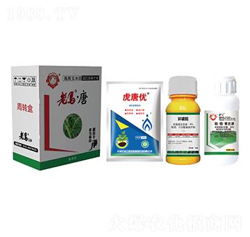 高效玉米田苗后除草方案-老馬·唐-惠耘農(nóng)業(yè)