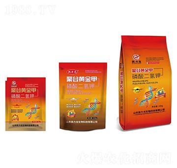 �۹��S���(�j(lu��)�ϑB(t��i))-�P����