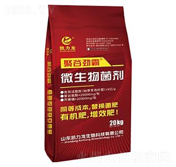 ΢�������-�۹ȄŰ�-�P����