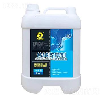 �}�A������-�s��ʘI(y��)