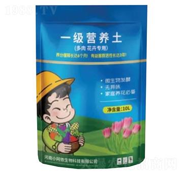 һ���I�B(y��ng)�������⻨�܌��ã�-С���z