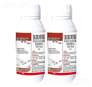 5%氯氰菊酯乳油-蓋地虎-湯普樂