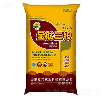 �������@18-18-18-�İ��r(n��ng)�I(y��)