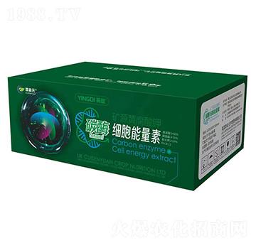 ̼ø���������أ��䣩-Ӣ��-��ɭԪ