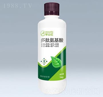 ���İ�����ˮ�ܷ�-��ݮȦ