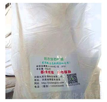 地衣芽孢桿菌-九邦生物