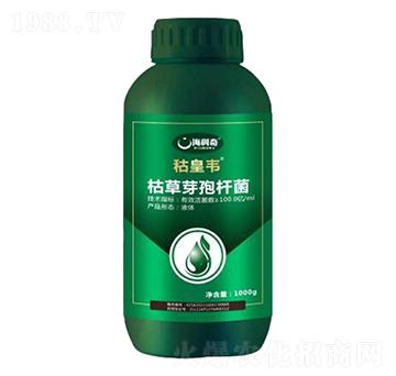 �ݲ�ѿ�ߗU��-�s���f-������