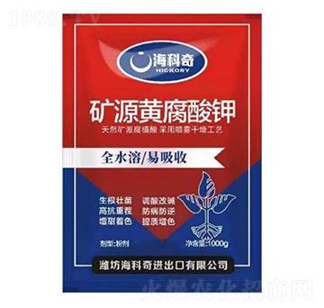 �VԴ�S�����-������