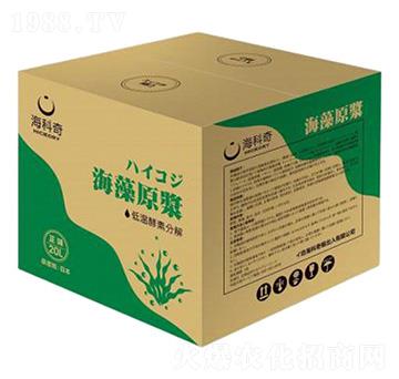 ����ԭ�{-������