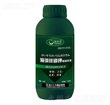 ��������-������