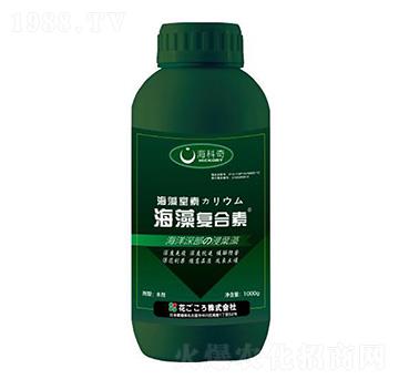 �����(f��)����-������