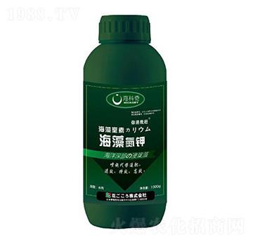 ���嵪�-������