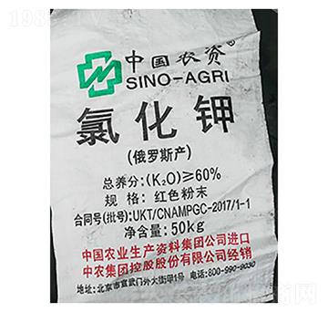 中國農資牌氯化鉀（紅色粉末）-隆科農資