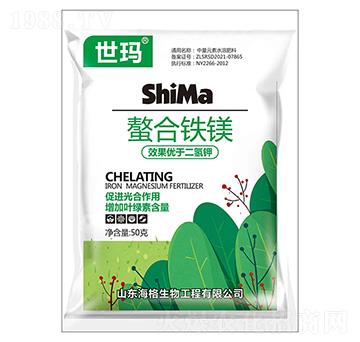 �����F�V-����-��������