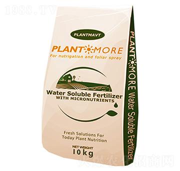 ���ͷ���-��������