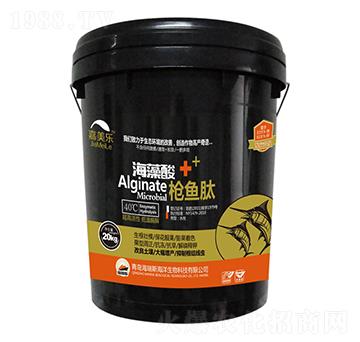 ������+���~��-������-����˹