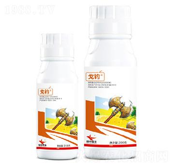 17%�׾S���x����Ҹ���-���-�G������