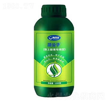 ������������ʹ���Ԫ��ˮ�ܷ���-����-������