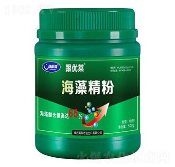 ���徫��-����(y��u)�R-������