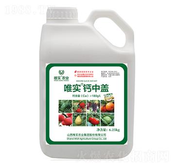 Ψ��(sh��)���}���w