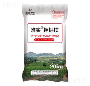 Ψ����}�V14-0-36-4CaO-1MgO