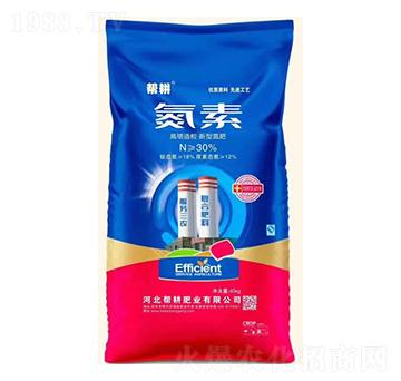 �������������͵���-����-�͸��ʘI(y��)