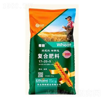 �ͺϷ���17-20-5-�͸��ʘI(y��)