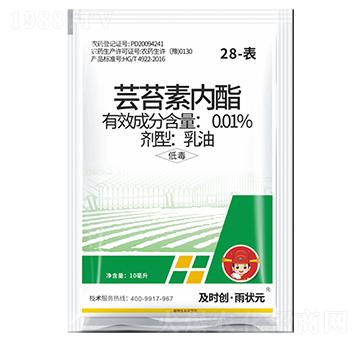 28-��-�|̦�؃�������-���r��(chu��ng)�����Ԫ-���r��