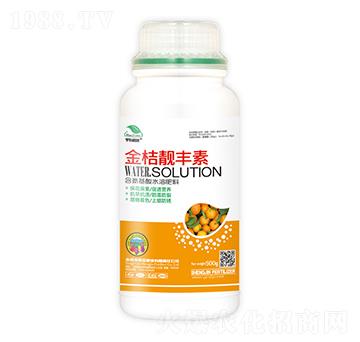 ��������ˮ�ܷ���-����n�S��-��|ֲ��-ʥ��ʘI(y��)