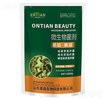 ΢�������-�������-��������