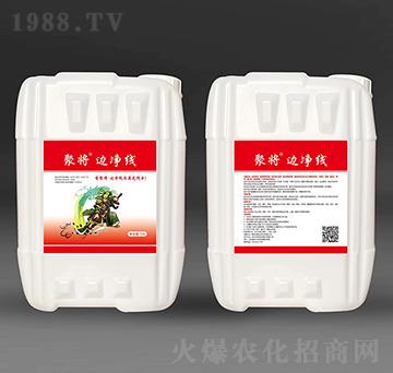 ߅����-�ی�-�����A