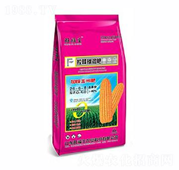 ��ጓ����26-6-8-������