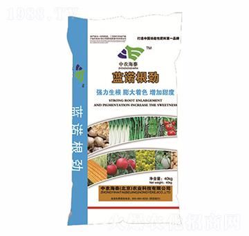 �{�Z����-���r��̩