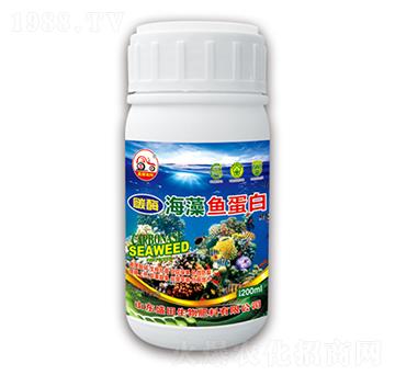 海藻魚(yú)蛋白-盛田生物
