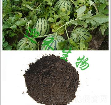 西瓜有機肥-迎禾生物