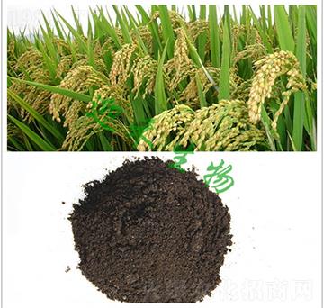 水稻有機(jī)肥-迎禾生物