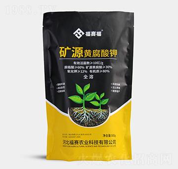 �VԴ�S�����-��ِ��