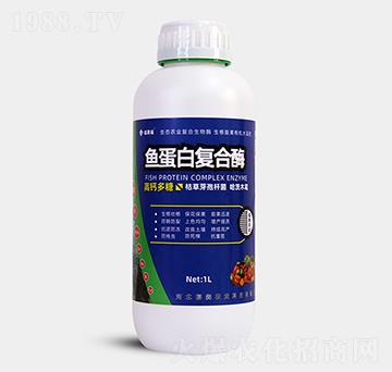 1kg�~���׏�(f��)��ø-��ِ��