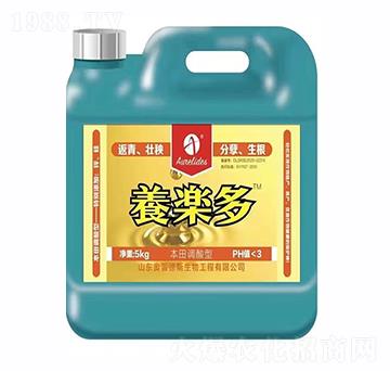 5kg���w����-�B(y��ng)����-�W�׵�˹