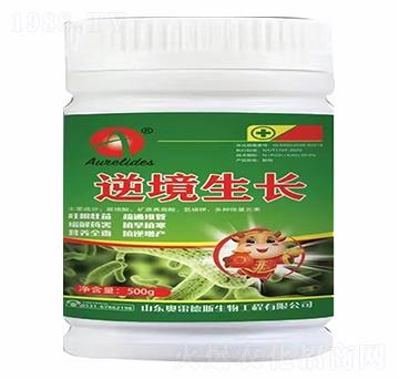 �澳���L(zh��ng)-�W�׵�˹