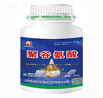 �۹Ȱ���-�W�׵�˹