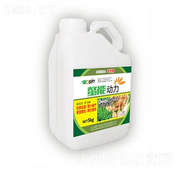 螯能動力-康爾特