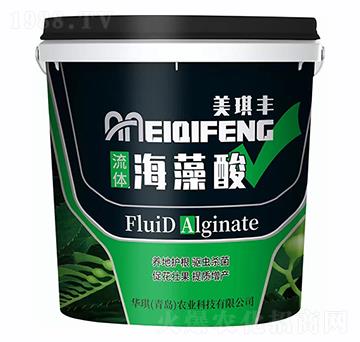 ���w������-�����S-�A��