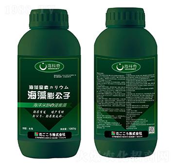 ��������-������