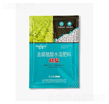 含腐植酸水溶肥料-戰(zhàn)鹽-國(guó)亨