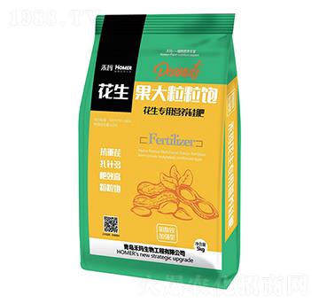 �������������-�̬�����