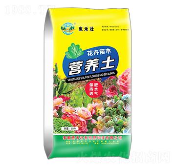 ������ľ�I(y��ng)�B(y��ng)��-�ݺ̉�����