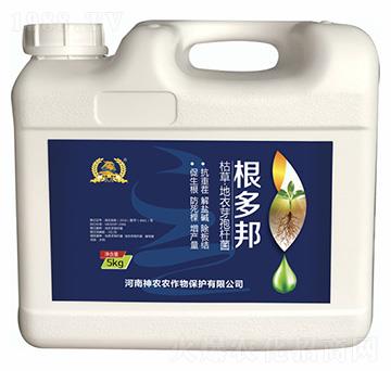 �ݲ�ѿ�ߗU��-�����-�������r(n��ng)