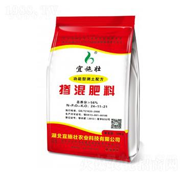 �����䷽�������24-11-21-��ʩ��